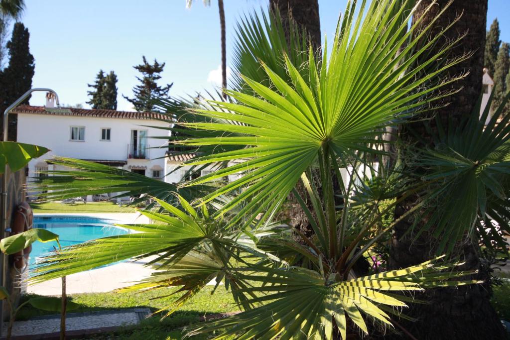 Bazén v ubytování Banus Lodge nebo v jeho okolí