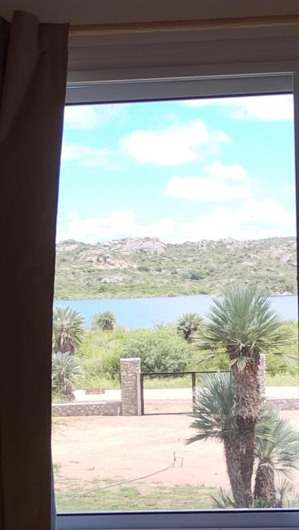 a window with a view of a palm tree at Balcon al dique in Las Chacras