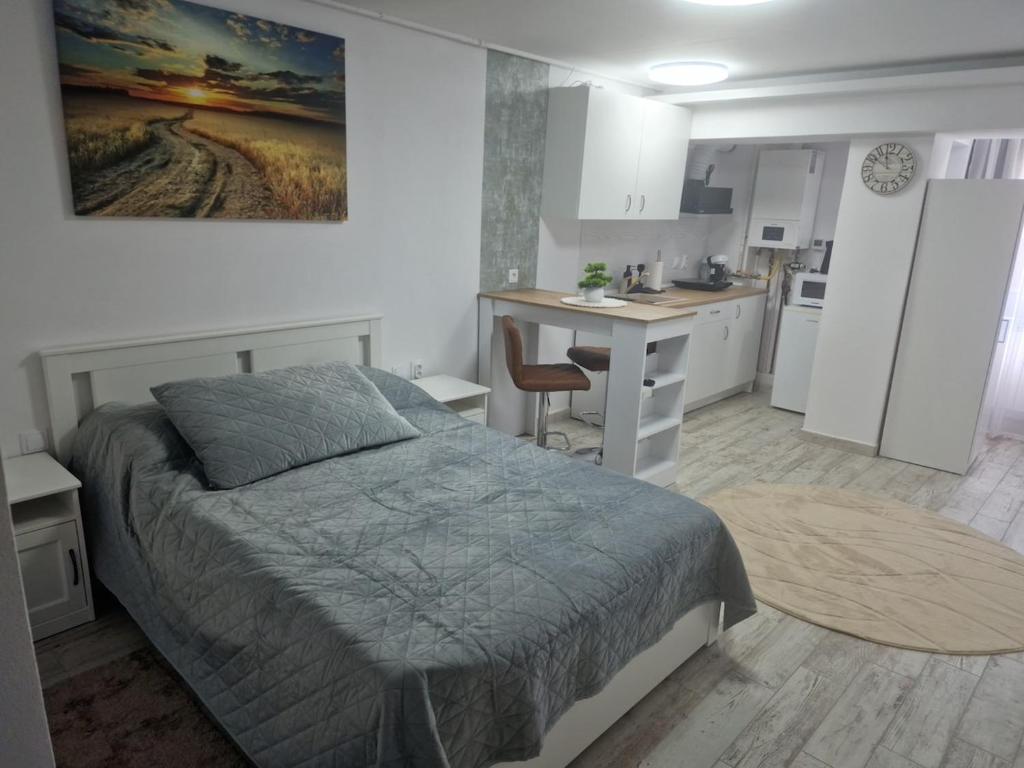 a bedroom with a bed and a desk and a kitchen at City Studio in Târgu Secuiesc