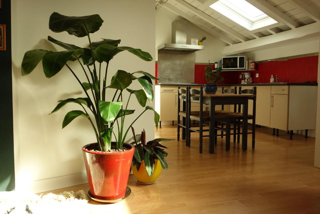 Primadera - Appartement chaleureux