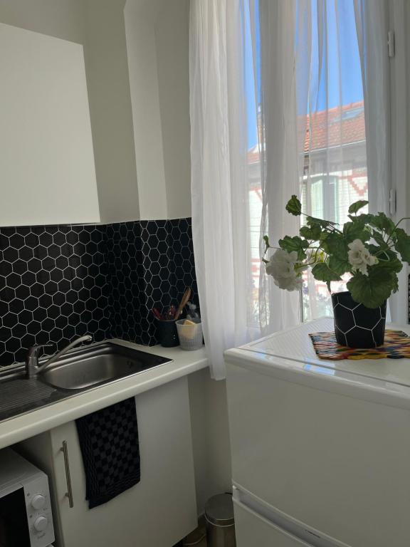 a kitchen with a sink and a window with a plant at Petit cocon à 10 min de Paris in Cachan