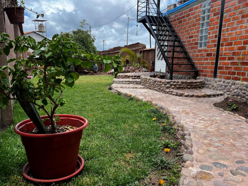 a potted plant in a yard next to a brick building at Casa raíz in Cusco