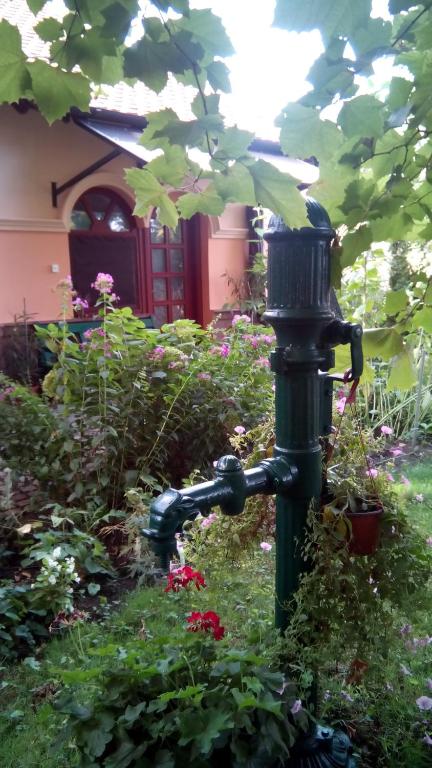 Vrt ispred objekta 3 Platana