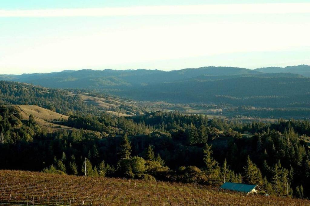 a view of a hill with trees and a barn at Crispin Cottage in Philo