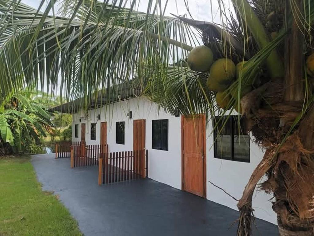 a building with a palm tree in front of it at Crowd free own pace and space in Rayong in Ban Chak Khamin