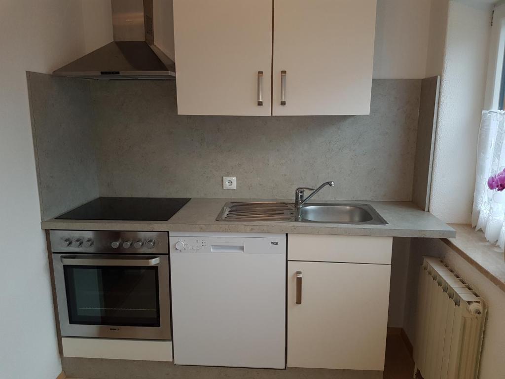 Kuchyň nebo kuchyňský kout v ubytování Gästehaus Fernblick