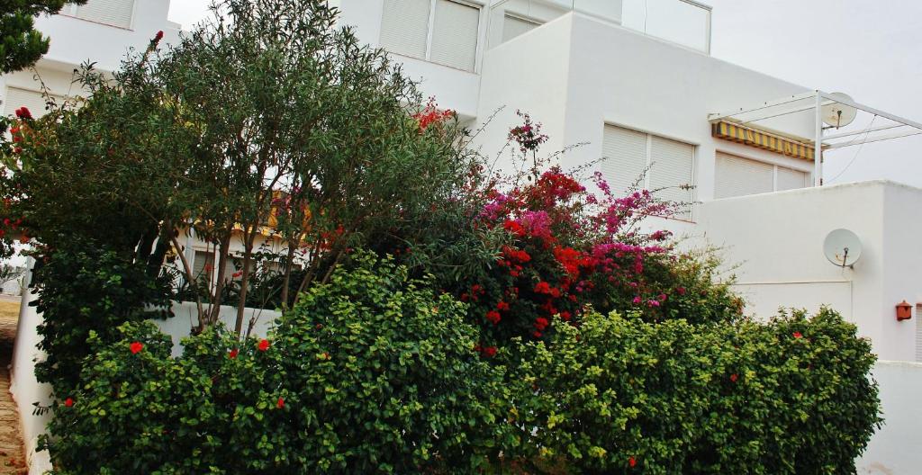un grupo de flores frente a un edificio en Urbanizacion Puerto Rey, en Vera
