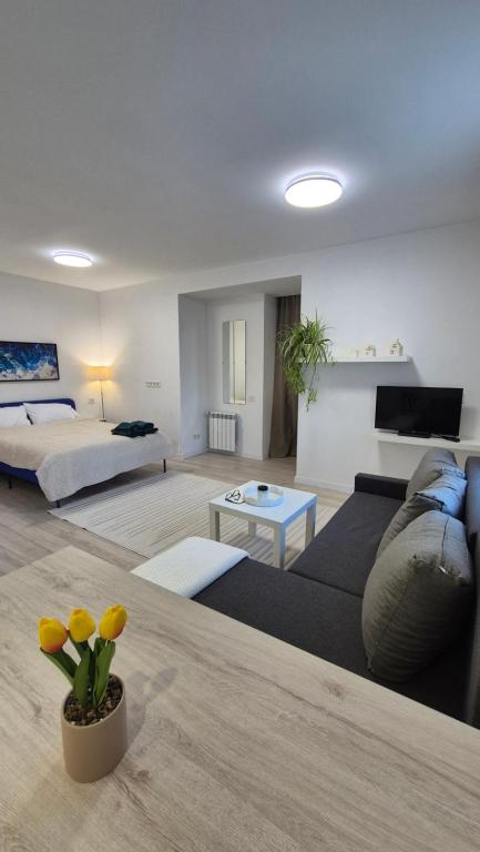a living room with a couch and a bed at Vedo apartment 3 Тячів in Tyachiv
