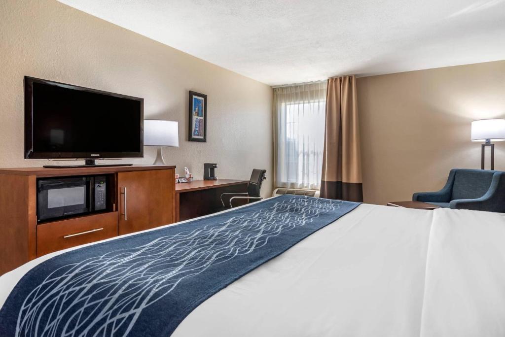 Comfort Inn Birmingham - Irondale - Chambre Lit King-Size Standard - Non-Fumeurs