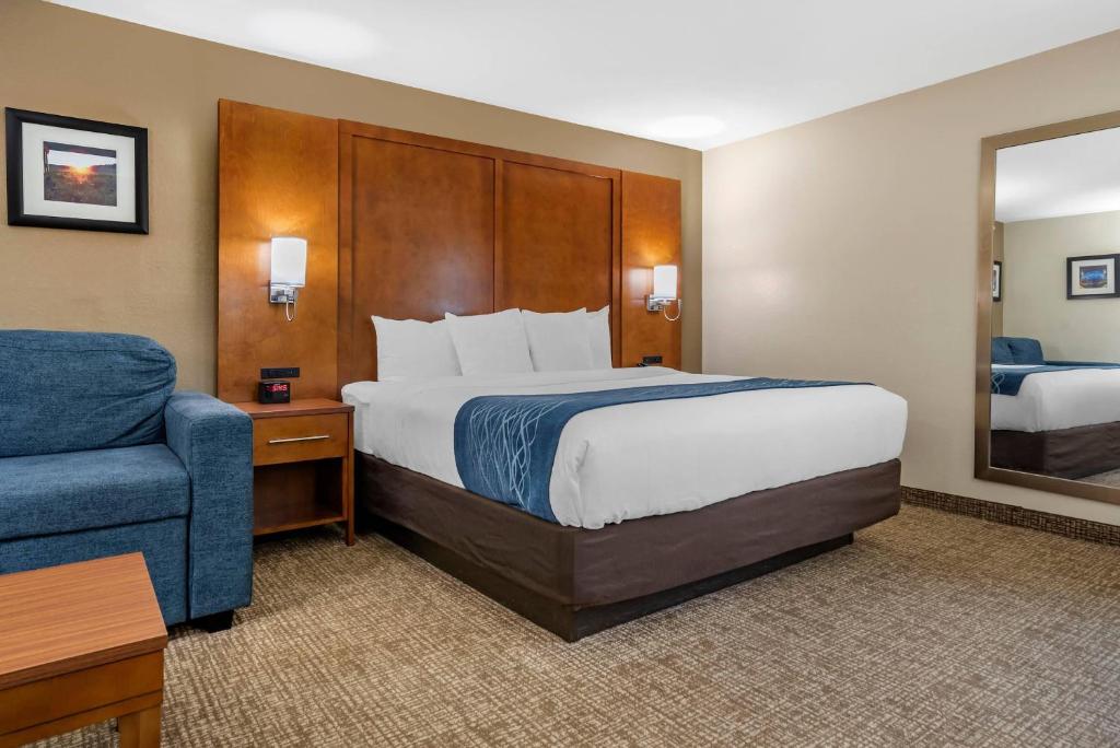 Comfort Inn Birmingham - Irondale - Grande Chambre Lit King-Size