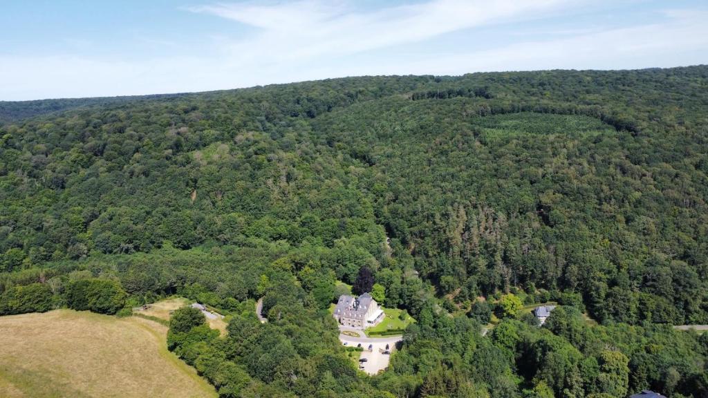 an aerial view of a house in the woods at Moulin de Daverdisse in Daverdisse