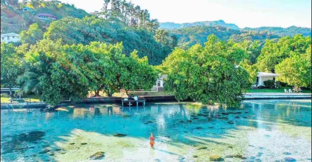 a pool of blue water with trees and a person in it at Mirimiri guest house in Tahu-Naoe
