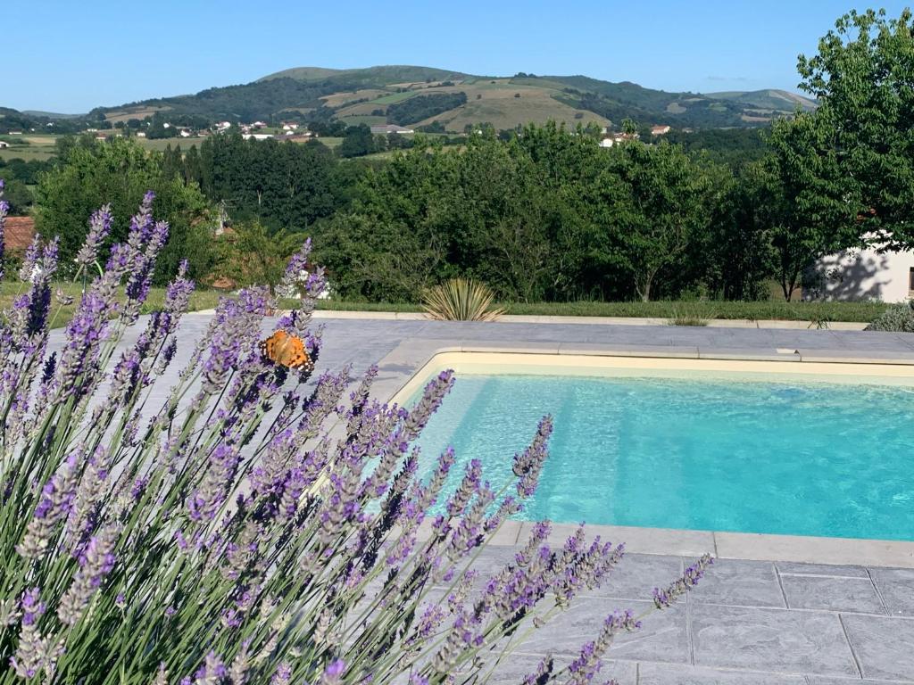 a swimming pool with purple flowers in front of it at Le cocon Laina Piscine & spa optionnel in Irissarry