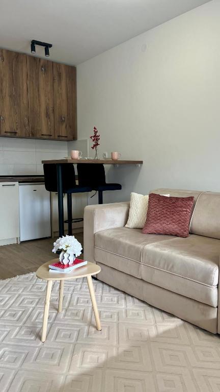 a living room with a couch and a table with a piano at Studio Vila Alto in Vrbas