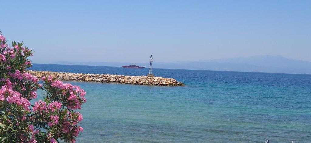 a small island in the middle of the ocean at Antonia's house on the beach in Skala Sotiros