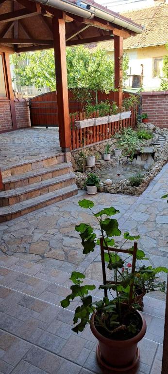 a garden with a pergola and a potted plant at Apartman Marija 2 in Kraljevo
