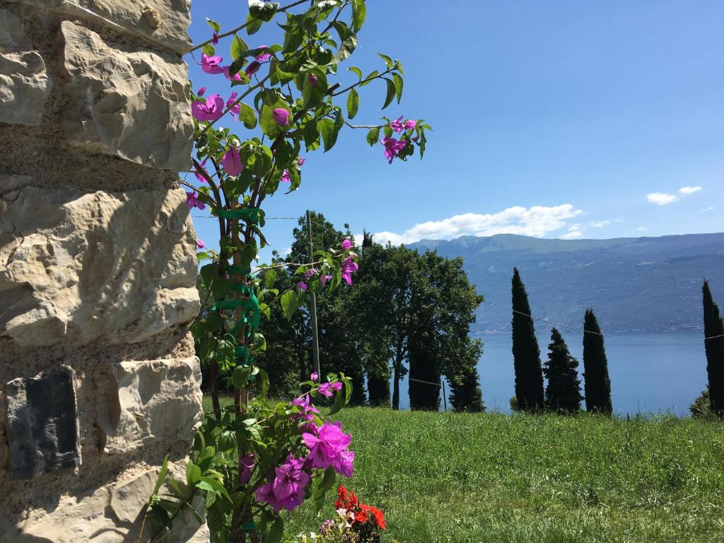 pared de piedra con flores y vistas al lago en Agriturismo Casa del Castagneto, en Gargnano