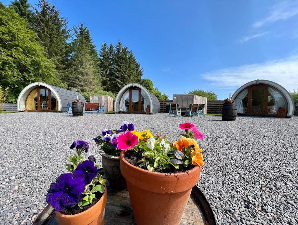two pots of flowers on a bike in a yard at Black Isle Pods & Chalet in Allangrange Station