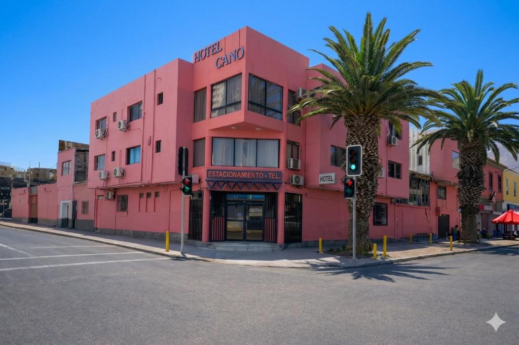 a pink building with palm trees in front of it at Hotel Cano in Iquique