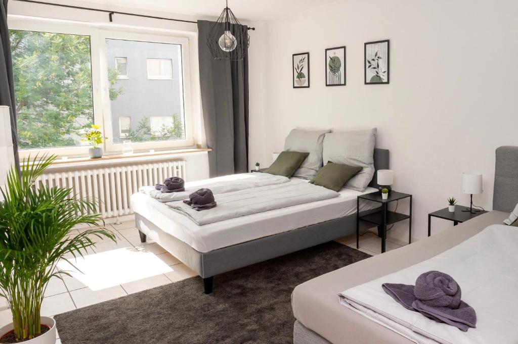a living room with a bed and a window at Stilvolles Apartment im Bochumer Stadtkern in Bochum