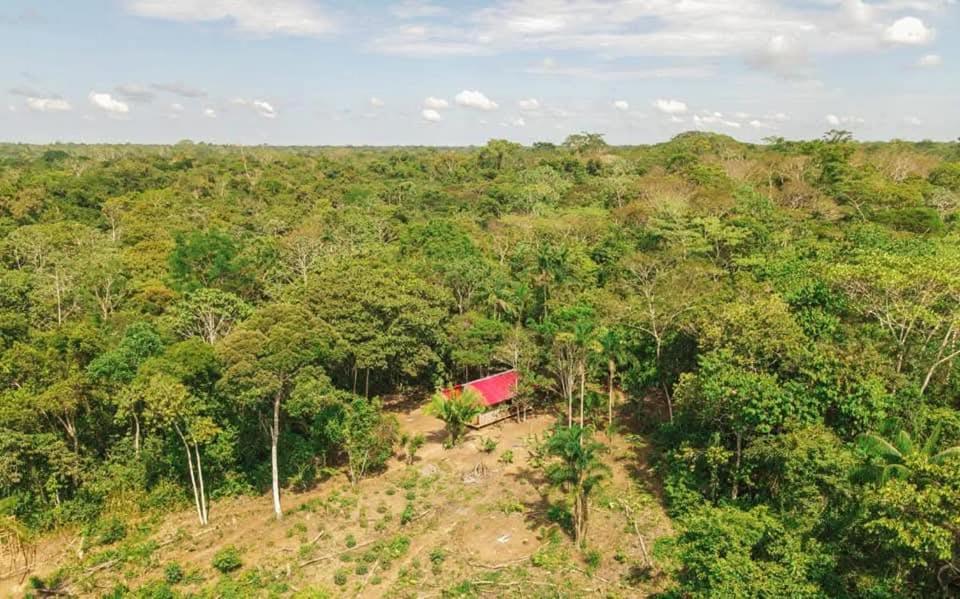 a house on a hill in the middle of a forest at Panguana Lodge all included in Iquitos