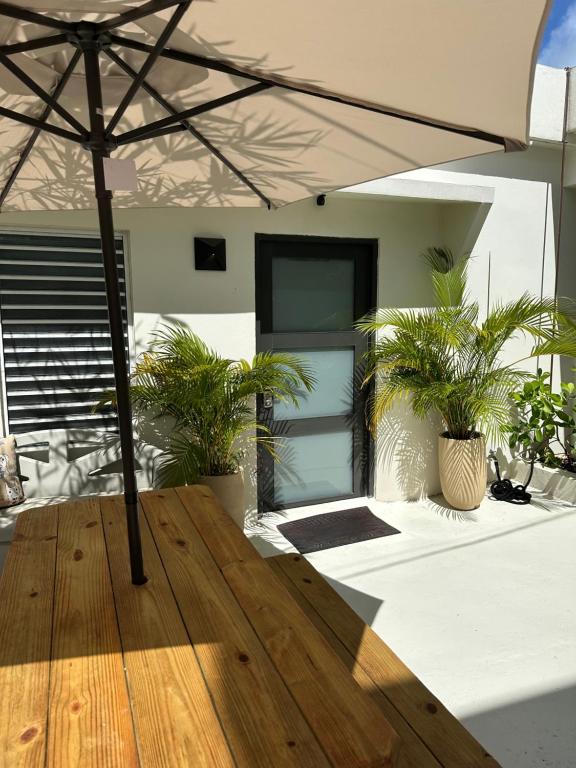 Tropical Studio