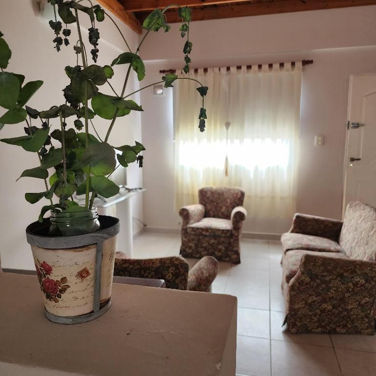 a living room with a potted plant on a table at Duplex Parking free in Estación Circunvalación