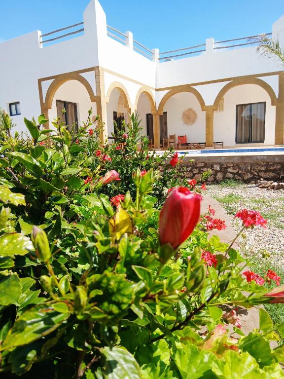 a flower bush in front of a building at Chambres Maison d'hôtes MaisonBlanche in Essaouira