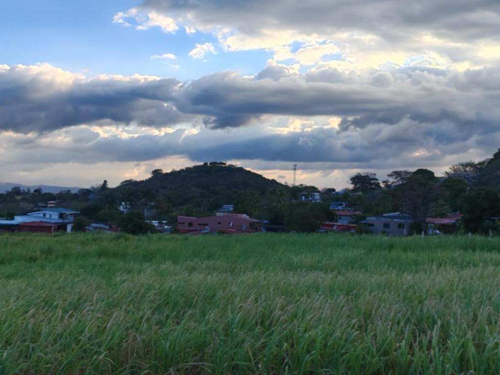 a field of tall grass with a city in the background at Vista Natural del Cerro in Grecia