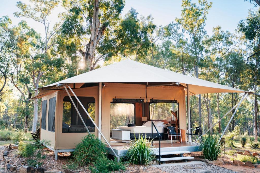 a tent in a field with trees in the background at Wallaroo Outback Retreat - Glamping Tents Carnarvon Gorge in Hutton