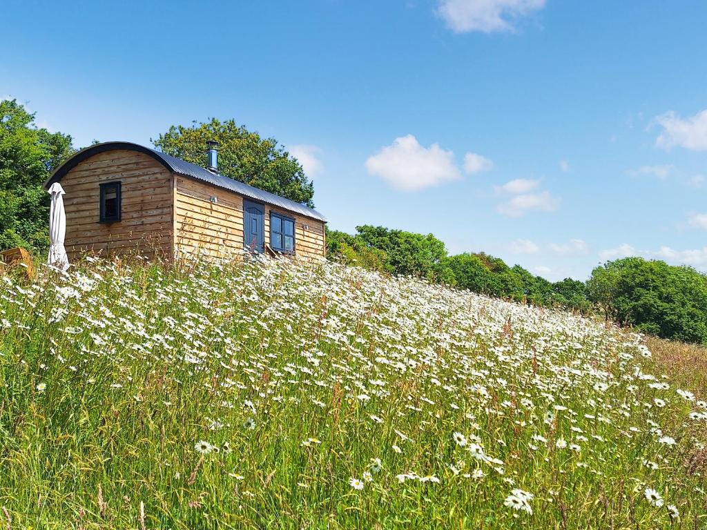 a building on a hill with a field of flowers at Pip's Hut in Bideford
