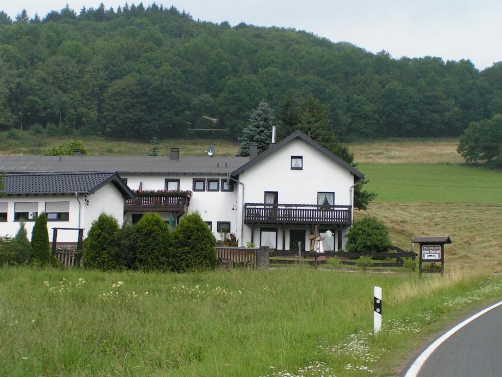 a large white house on the side of a road at Pension Haus Liesertal in Üdersdorf