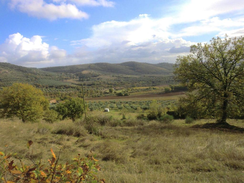 Príroda v okolí dovolenkového domu