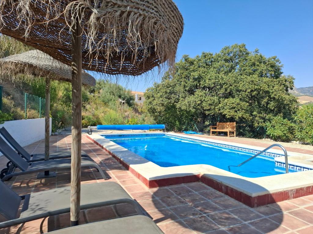 a swimming pool with chairs and an umbrella at Gusta la Vista in Ríogordo