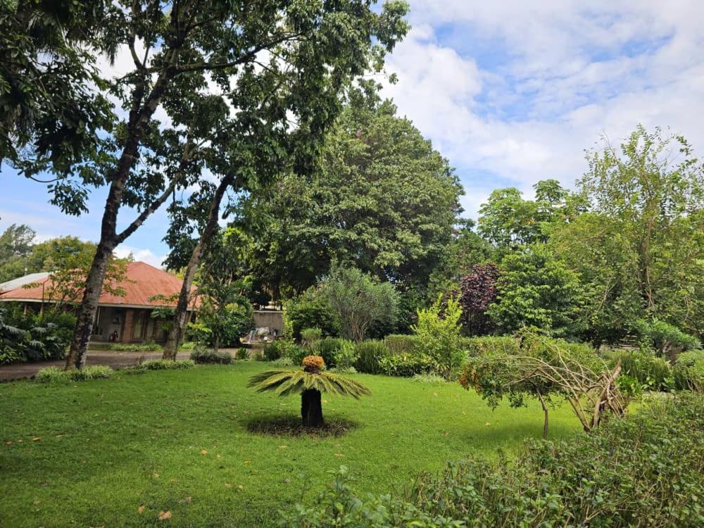 Gallery image of Karibu Home resort in Arusha