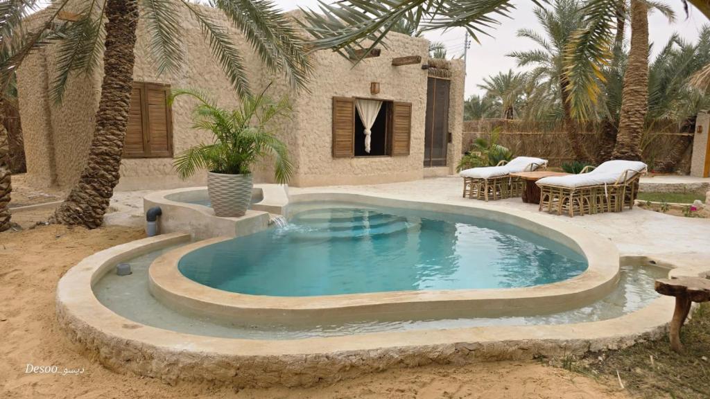 a swimming pool in a yard with palm trees at Hidden Garden House in Siwa