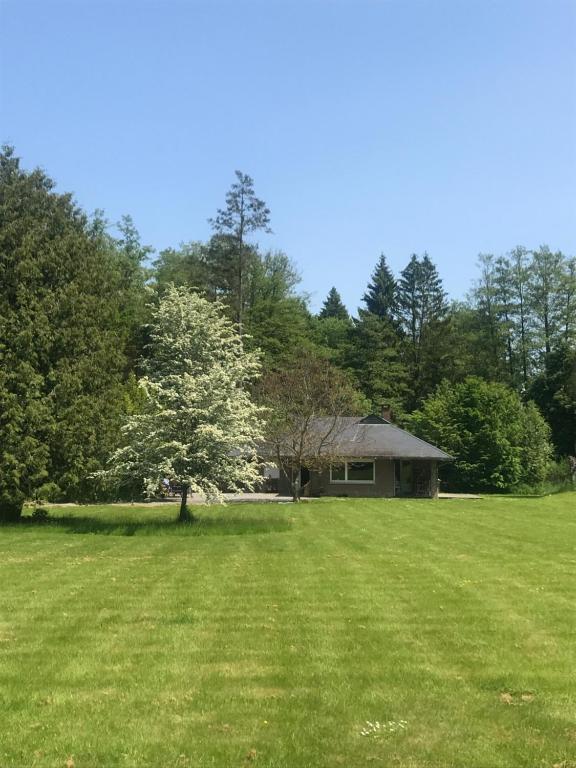a house in the middle of a field with a tree at Pré du Tour in Érezée