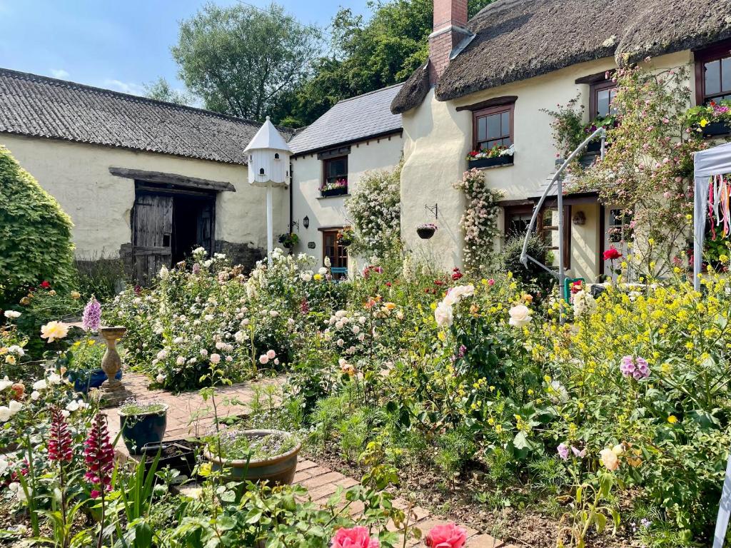 a garden in front of a house with flowers at Honey Meadow Retreat in Ashreigney