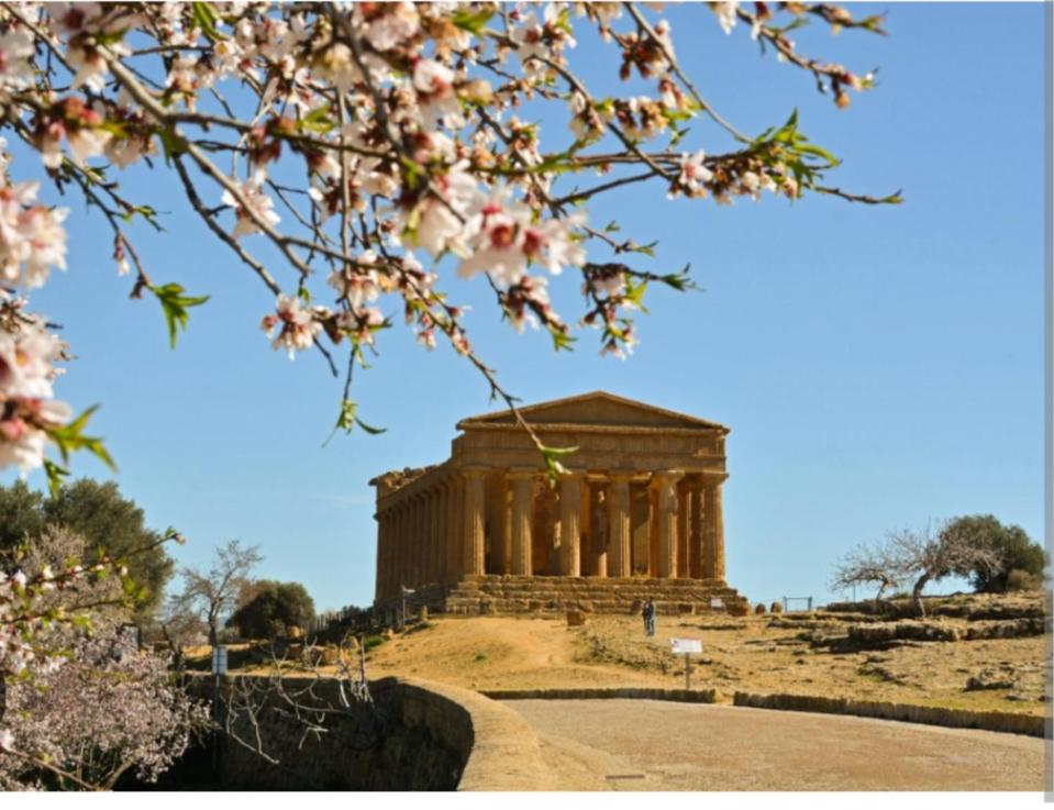 a temple on a hill with pink flowers in front at Kamome Rooms in Agrigento