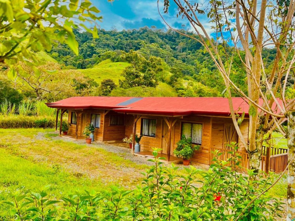 a wooden house with a red roof in a forest at Cabañas Bambú Pérez Zeledón in San Isidro de El General
