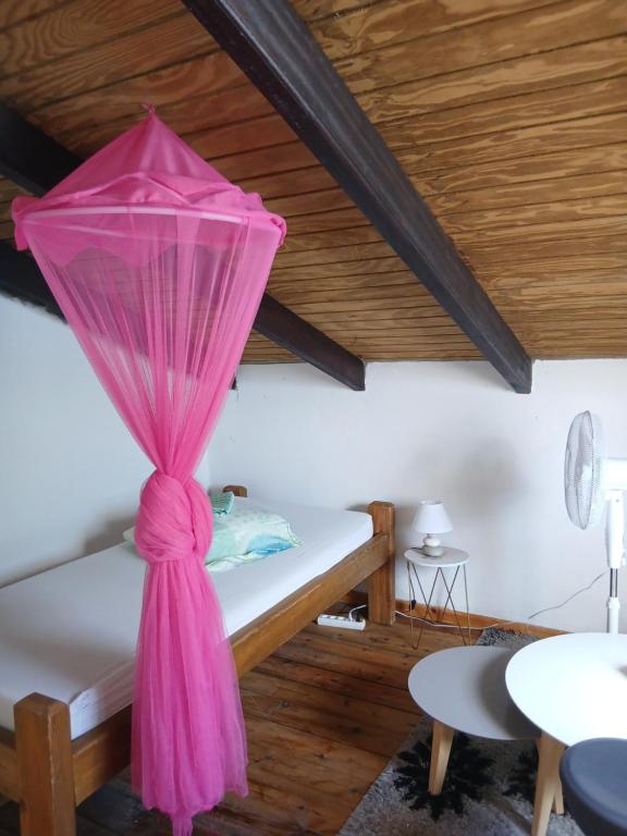 a room with a bed with a pink curtain at La plus grande source d'eaux chaudes F1 in Bouillante