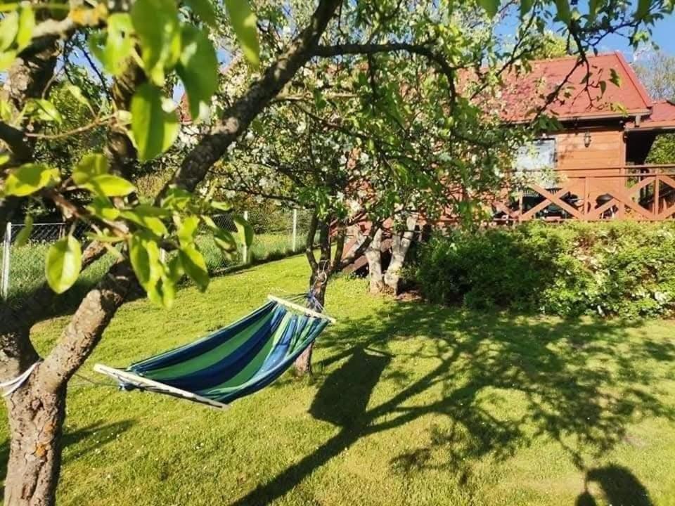 a hammock in a yard next to a tree at Domek u Patryka in Mrągowo
