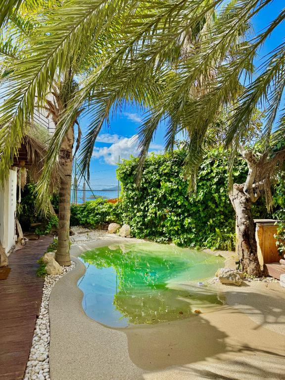 a pool of water under palm trees on a beach at Casa Klod Ibiza in Ibiza Town