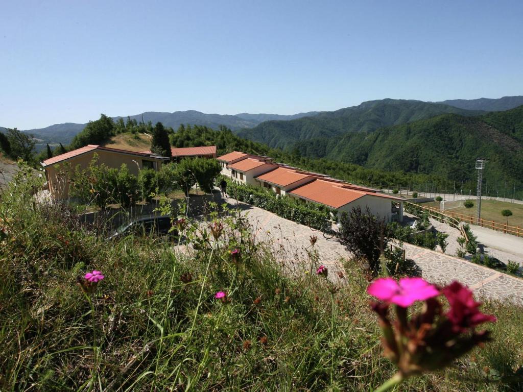 a view of a mountain with flowers in the foreground at Beautiful home with terrace, located in nature in Salecchio