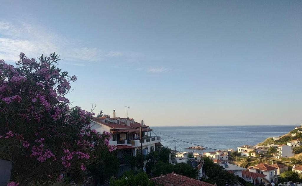 a view of a town with the ocean in the background at Raptis House in Karavostamo