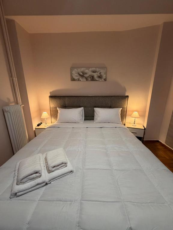 Hidden Gem of Plaka Quiet 2BD Apartment near Syntagma