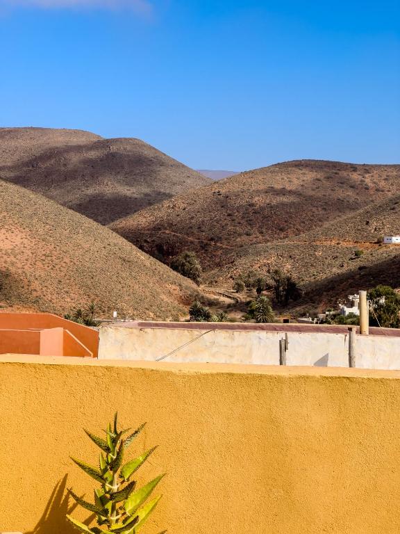 a plant on a wall with mountains in the background at Tayafut ApartmentTerrace in Mirleft