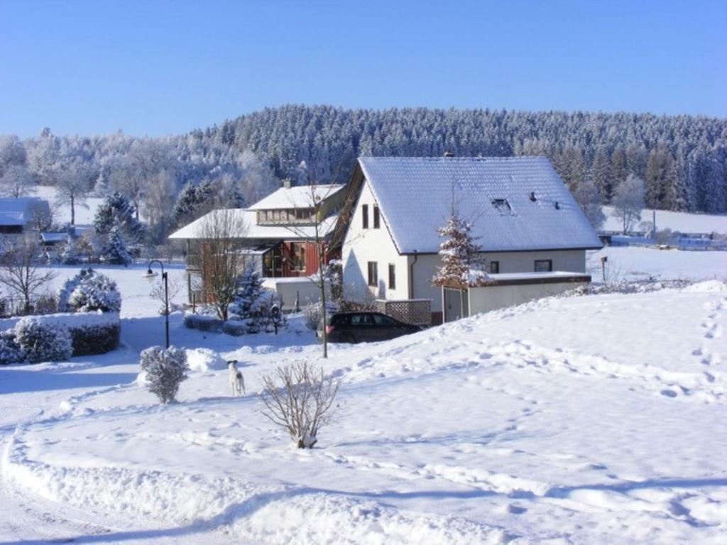 uma casa branca na neve com árvores em Cosy Apartment in Werda with Garden em Werda
