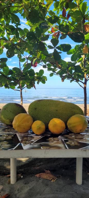 a bunch of fruit sitting on top of a table at Mananambal Beach Huts - Hut 2 in Nagbalaye