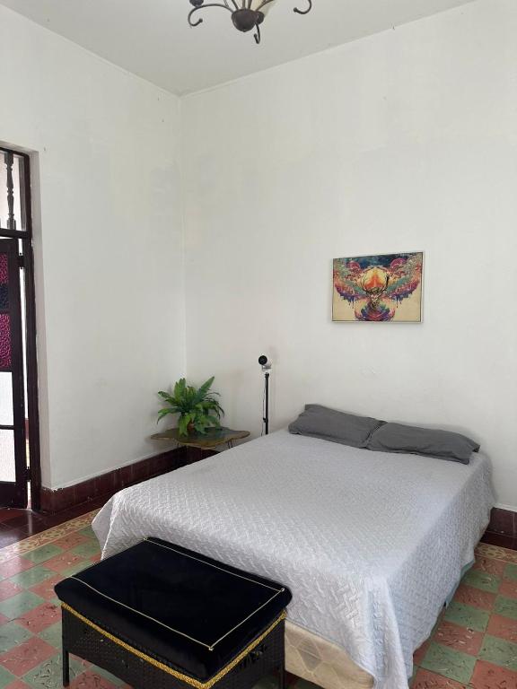 Hostal la mansion be House